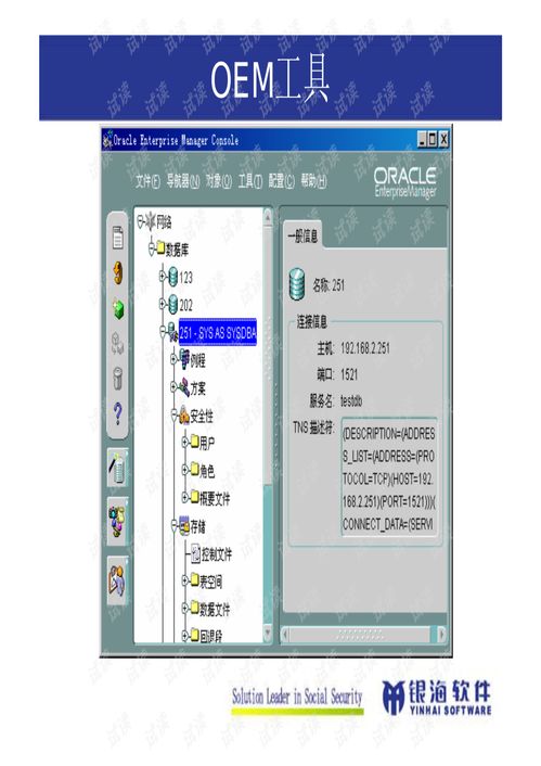 Oracle數據庫管理與開發 構建企業數據核心的基石